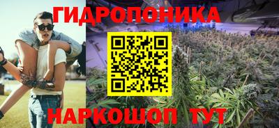 эйфоретик Кандалакша